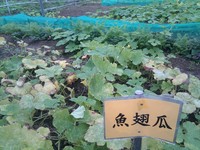 20100215Farm Visit07.jpg